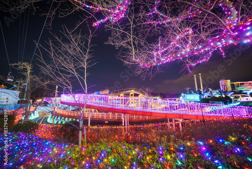 遊園地のイルミネーション