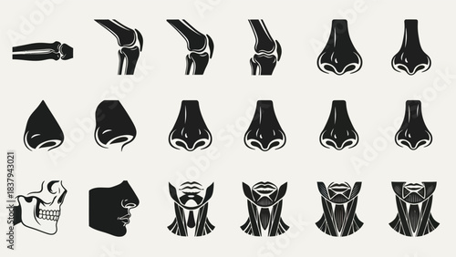Anatomical illustrations of human body parts and structures in black and white