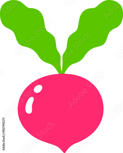 Red Radish, Vegetable Flat Style Illustration