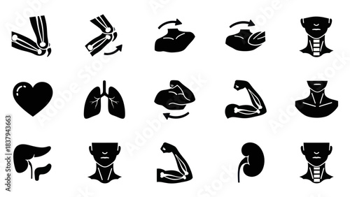 Black and white anatomical illustrations of human organs and body parts