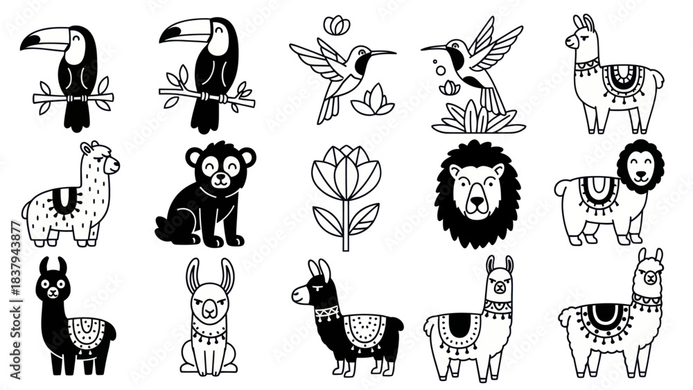 Fototapeta premium Black and white animal illustrations toucans hummingbirds llamas lion and more