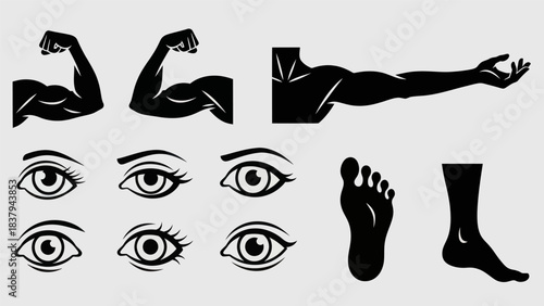 Black and white human body parts vector set for design and illustration