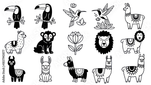 Black and white animal illustrations toucans hummingbirds llamas lion and more