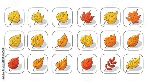 Autumn leaves collection vector illustration isolated on white background