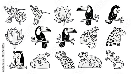 Black and white tropical animal and flower line art illustrations