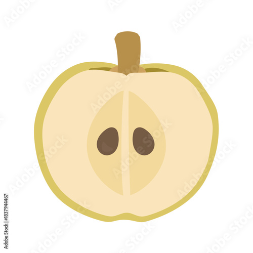 半分にカットされた梨のイラスト