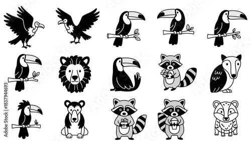 Black and white animal illustrations toucans raccoons and wildlife designs