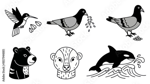 Black and white animal illustrations of hummingbird pigeons bear and orca