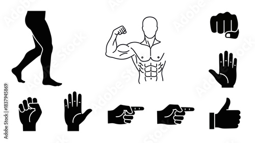 Black and white vector illustrations of human body parts and gestures