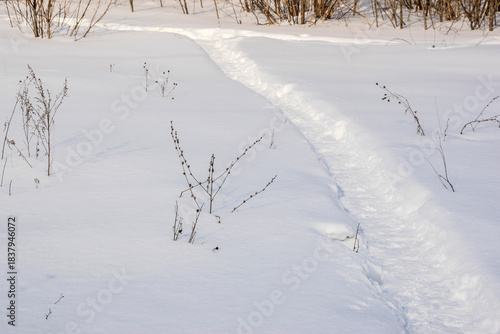 Paths among snowdrifts