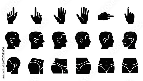 Black and white vector illustrations of human body parts and hand gestures