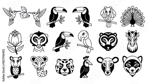 Black and white animal illustrations vector set of various wildlife creatures