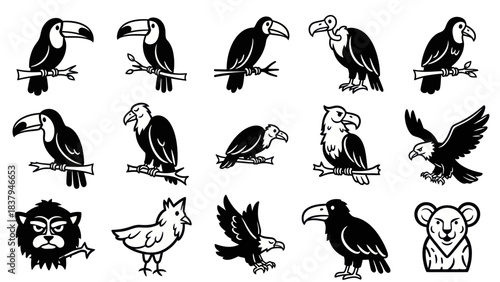 Black and white bird illustrations set depicting diverse avian species