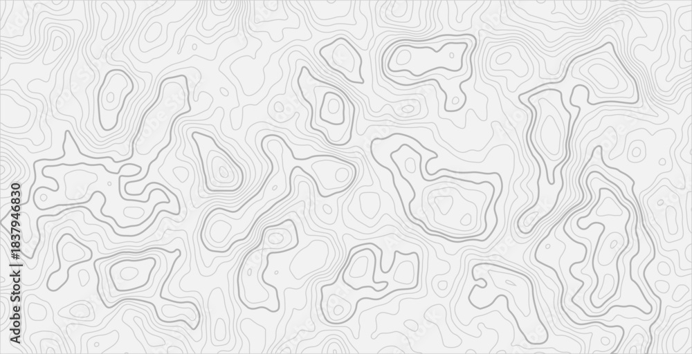 Fototapeta premium Topographic elevation lines pattern, smooth wave-like contours, black stroke on pure white, stylish minimalist cartography artwork