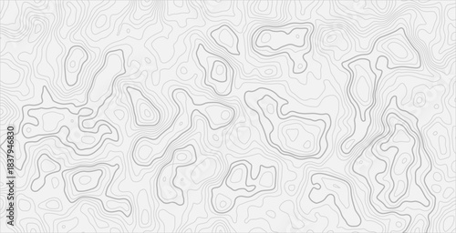 Topographic elevation lines pattern, smooth wave-like contours, black stroke on pure white, stylish minimalist cartography artwork