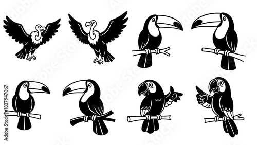 Black and white birds collection vector illustration for design elements