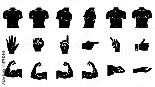 Black silhouette illustrations of human body parts and various hand gestures