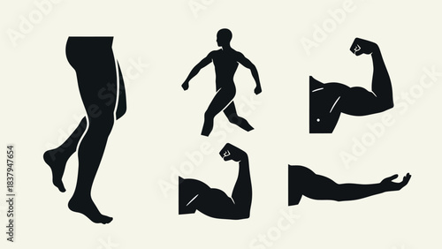 Black silhouette human body parts and figures isolated on light background