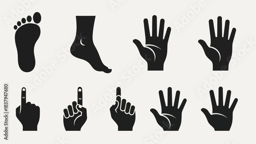 Black and white vector illustration of body parts foot leg hand and fingers