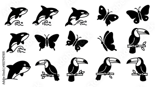 Black and white vector illustrations of marine mammals insects and birds