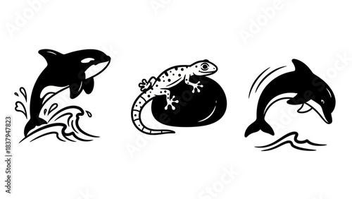 Black and white illustrations of aquatic mammals and reptiles