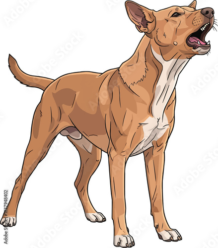 Indian Pariah Dog barking alert aggressive illustration