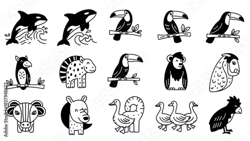 Black and white animal illustrations orca toucan penguin zebra monkey and more