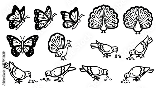 Black and white vector illustration of butterflies peacocks and pigeons