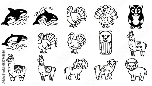 Black and white animal illustrations orca turkey bear llama sheep designs