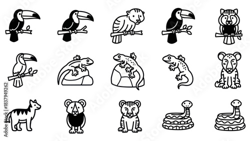 Black and white vector illustrations of various exotic animals and birds