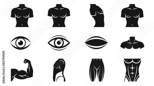 Black and white vector illustration of human body parts and anatomical elements