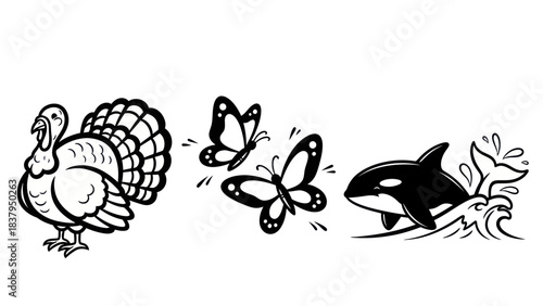 Black and white illustrations of turkey butterflies and killer whale