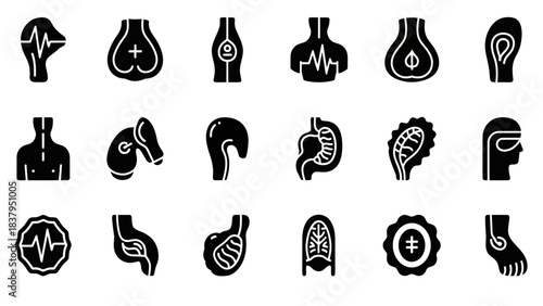 Black and white human anatomy icon set for medical and scientific projects