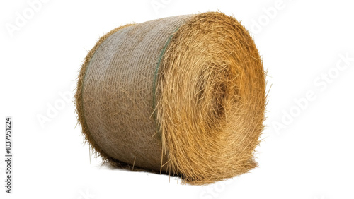 Fotografie Isolated round bale of hay, hay bale, animal bedding, straw fodder, cattle feed