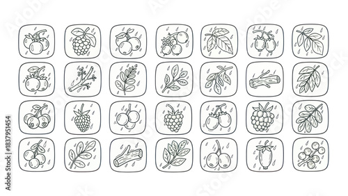 Black and white vector illustration of various fruit and leaf icons
