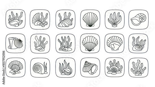 Black and white vector illustration of various seashells and seaweeds