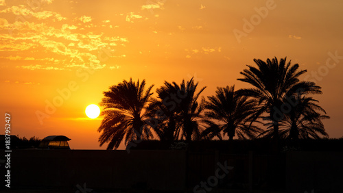When the day bids farewell to its sky…sunset, sky, landscape, 