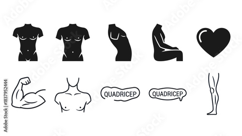 Black and white vector illustrations depicting human anatomy and health concepts