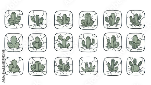 Cactus icons set variety of green plants in square frames for design