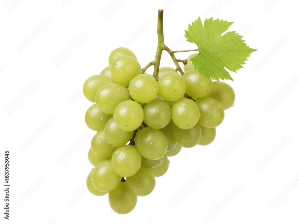 Obraz premium Isolated bunch of fresh green grapes with water drops and a leaf, healthy eating and snack