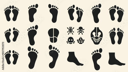 Black footprints vector set on beige background various views and sizes