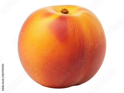 Photos Isolated Fuzzy Peach Fruit Food, Single Whole with Fuzzy Skin, Fresh, Raw, Uncut