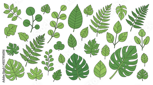 Grid of assorted green leaves with varied shapes and vein patterns on white background, representing botanical diversity, plant identification, and leaf morphology for design or educational use