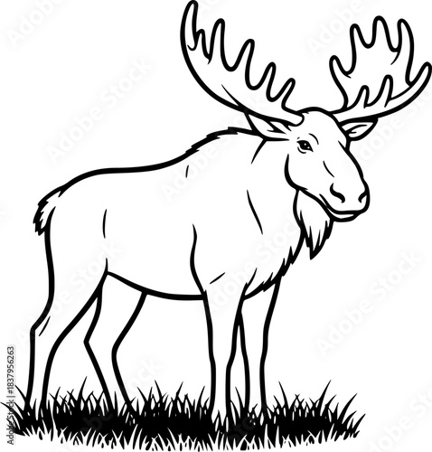Cute moose outline for kids coloring book
