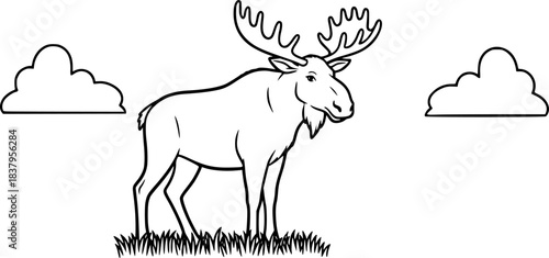 Cute moose outline for kids coloring book
