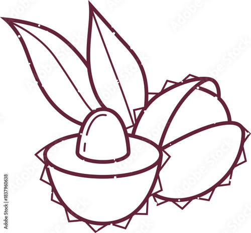 Rambutan Fruit Doodle