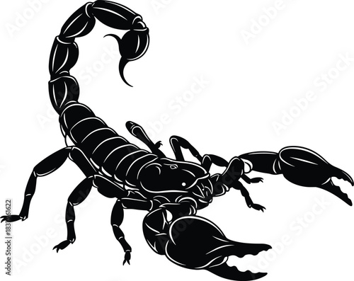 Silhouette scorpion illustration, dangerous arthropod with stinger raised, venomous predator insect concept, detailed black graphic design isolated on white background