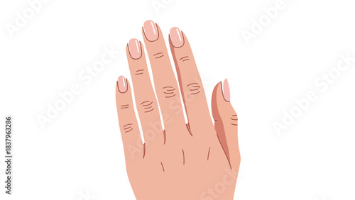 Closeup of a womans hand with painted nails