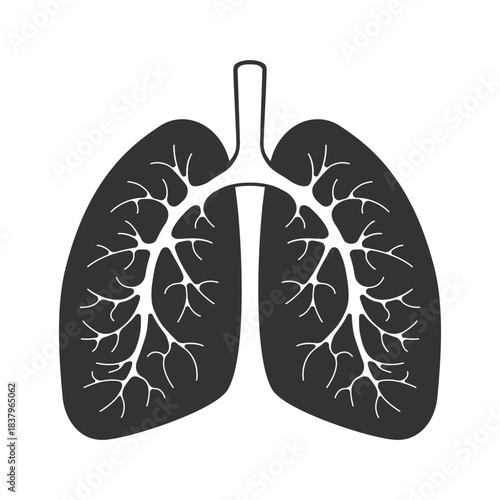 Human lungs graphic icon. Lungs sign isolated on white background. Vector illustration