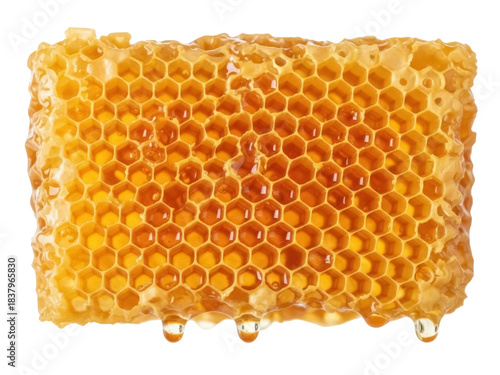 Isolated honeycomb dripping honey, natural healthy food, fresh harvested sweetness ready to eat
